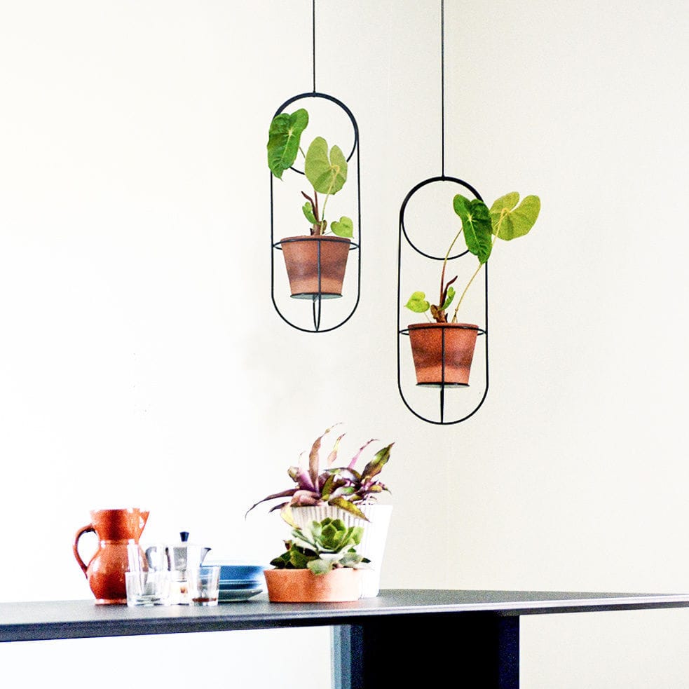 suspension décoration plantes 